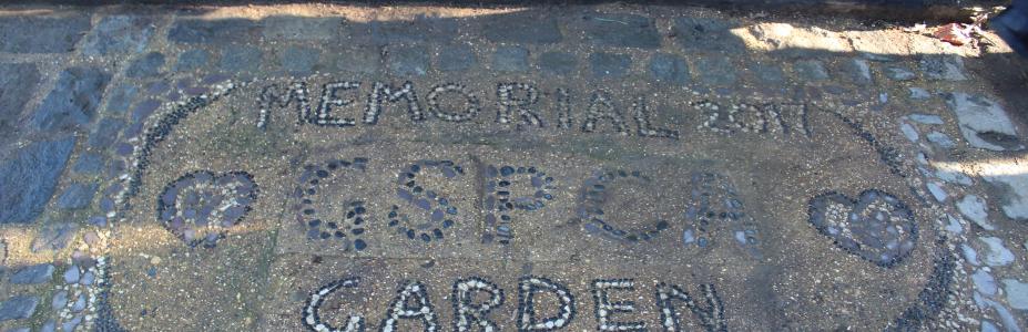 Pet Bereavement Advice Page – Guernsey